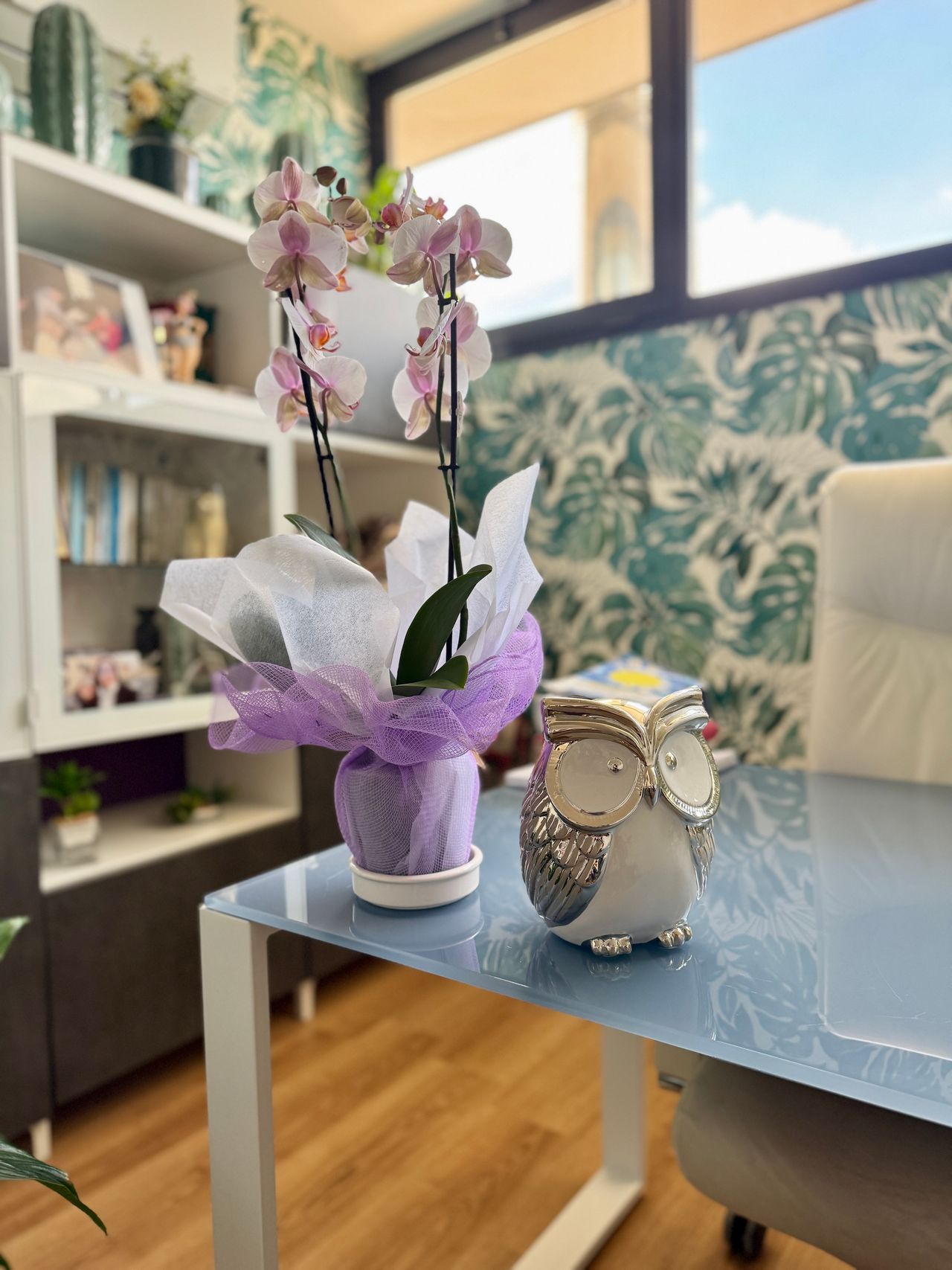 Maria Stella Grazioli-3