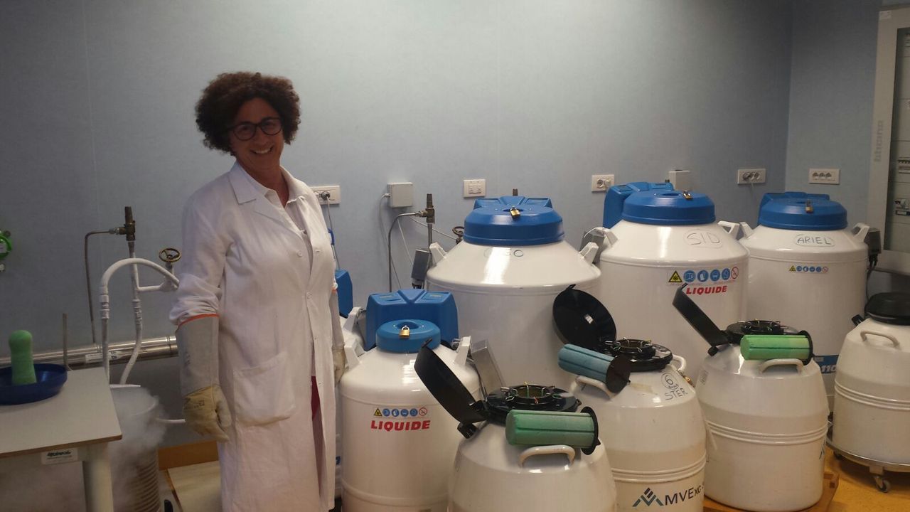 Daniela Giacchetta-1