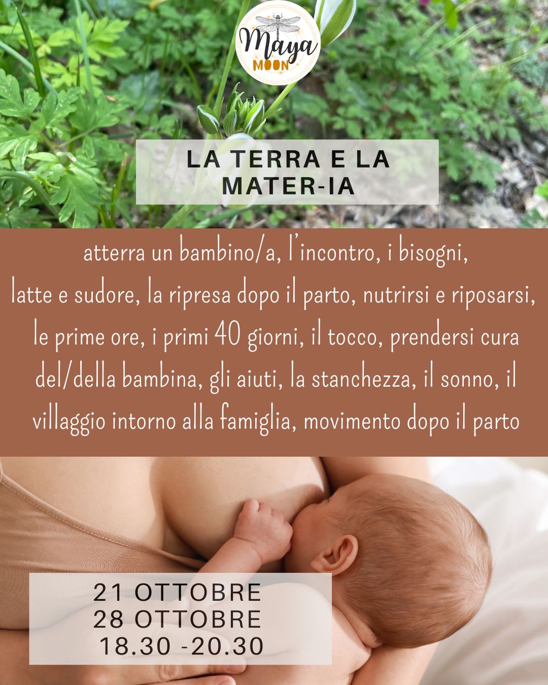 Kalipso Leyla Trevisiol-6