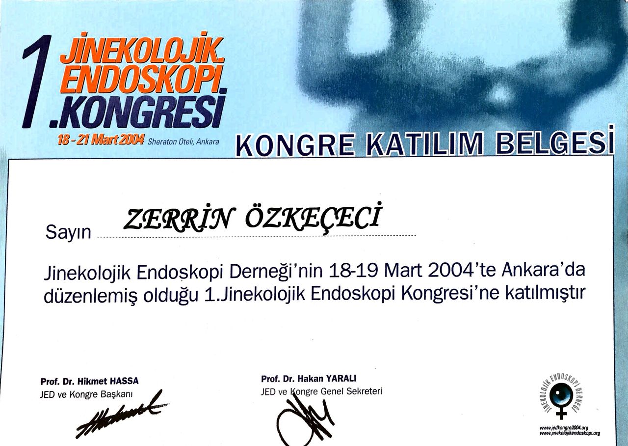 Zerrin Özkeçeci-2