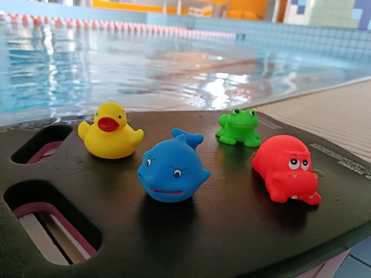 Małgorzata  Malinowska-7