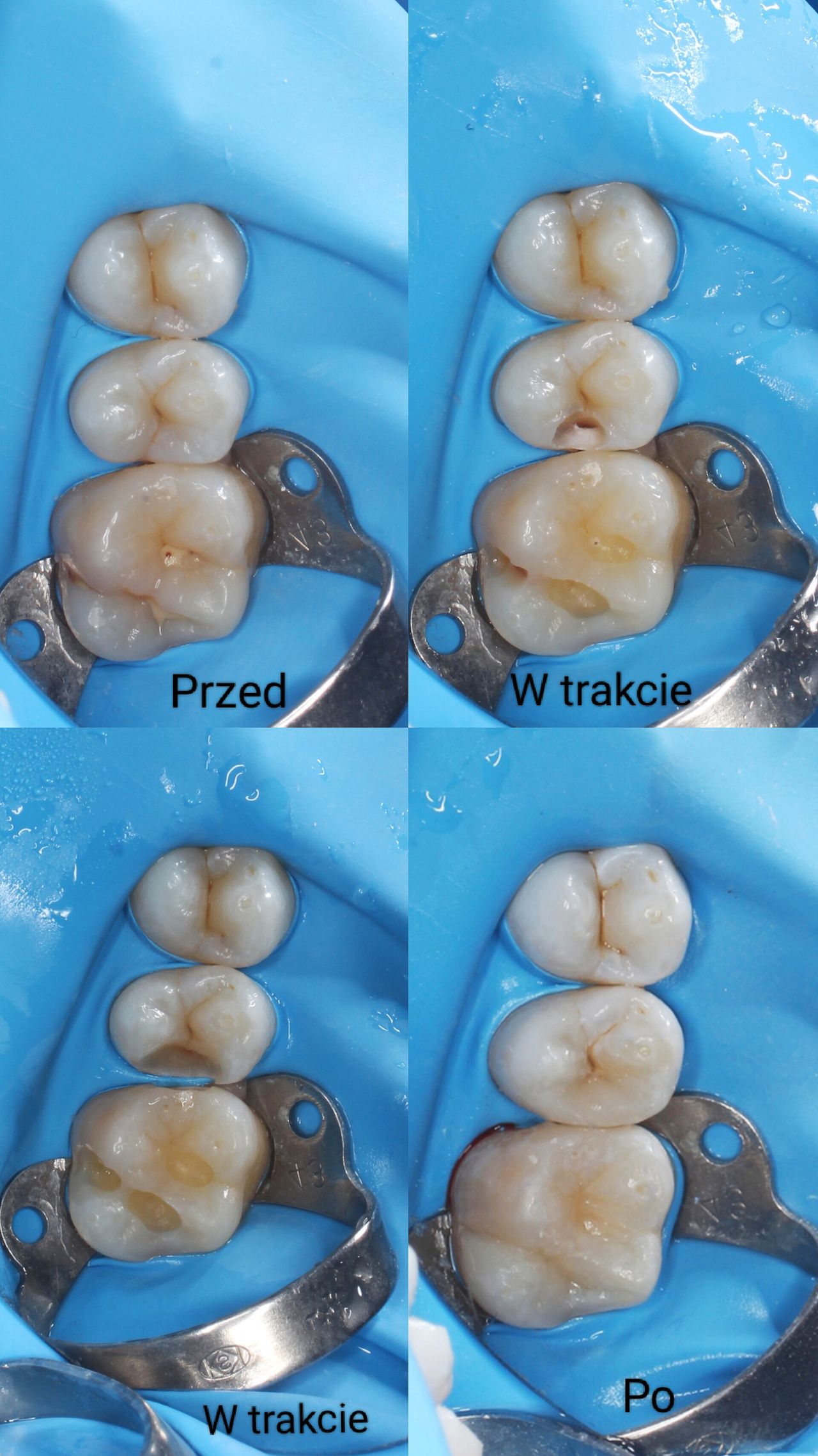 Aleksandra Bobrovskaya-1