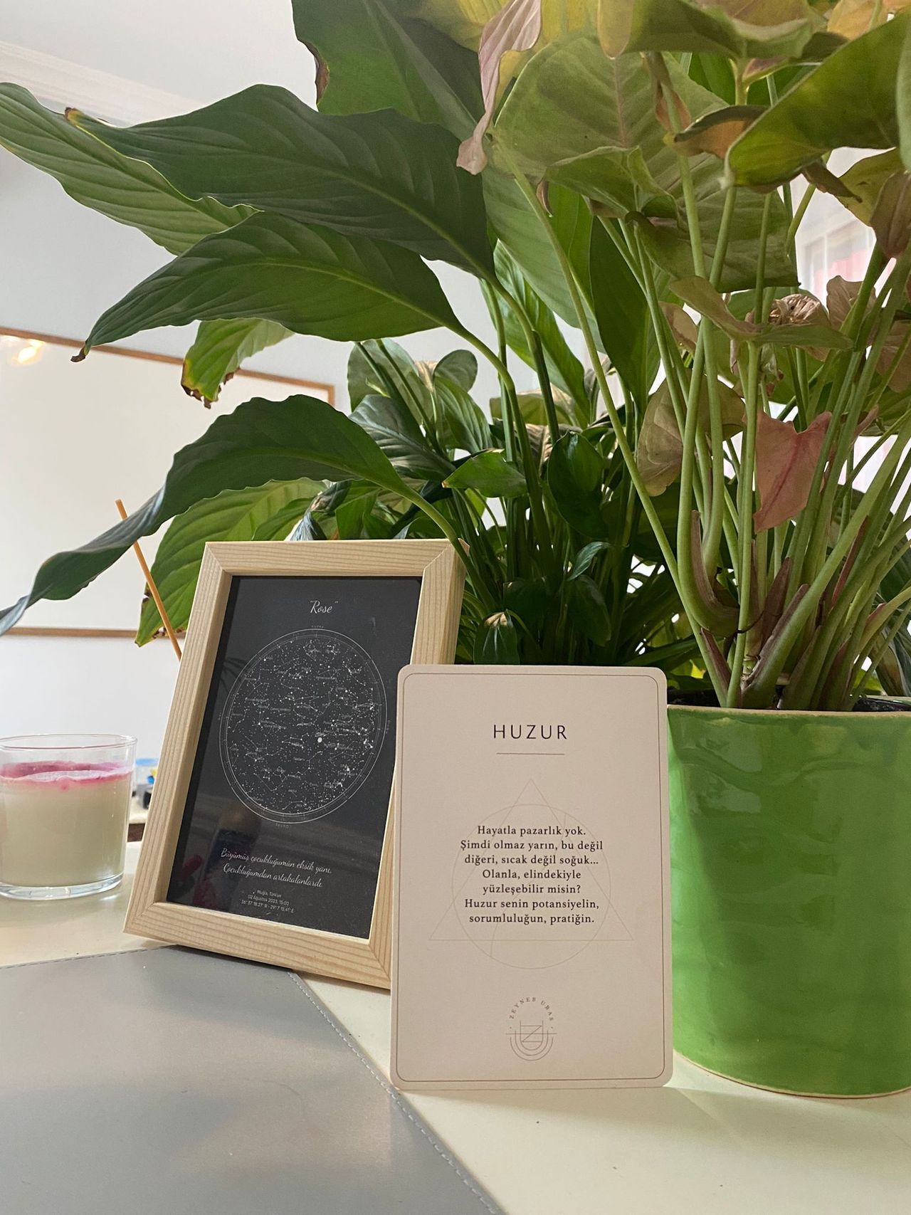 Hatice Halime Gül Gökalp-1