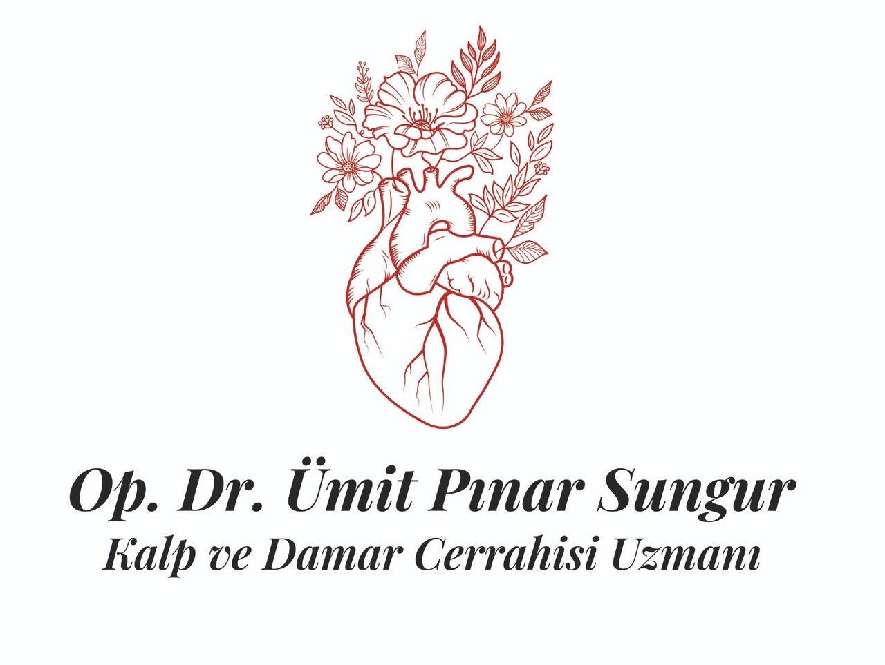 Ümit Pınar Sungur-6