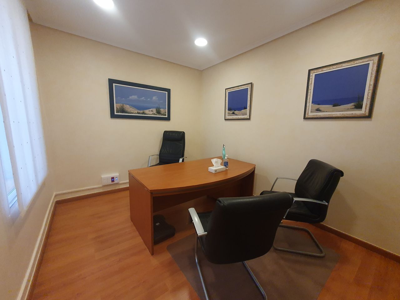 Maria Milagros Minguet Celis-2