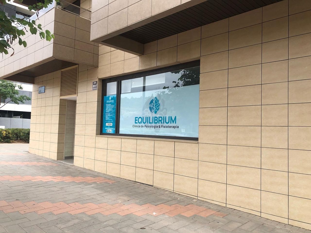 Virginia Cejas Pérez-4