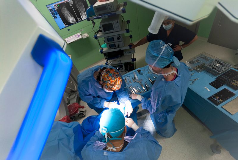 Grzegorz Doroszewski-3