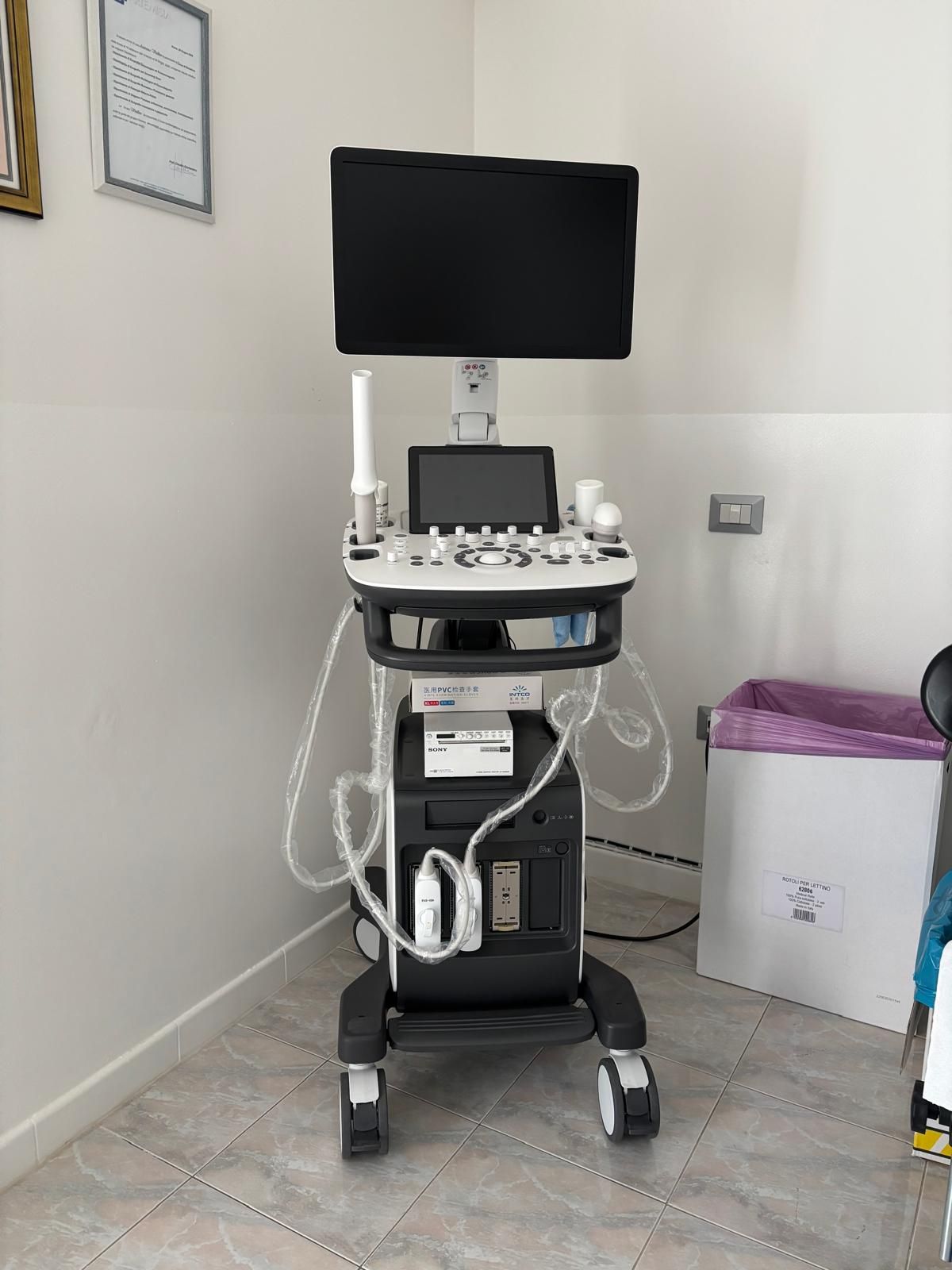 Andreina Vitellino-3