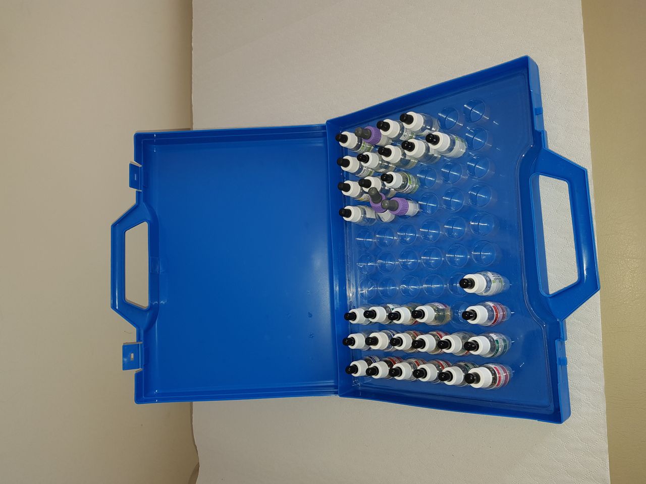 Raffaele Brancaccio-6