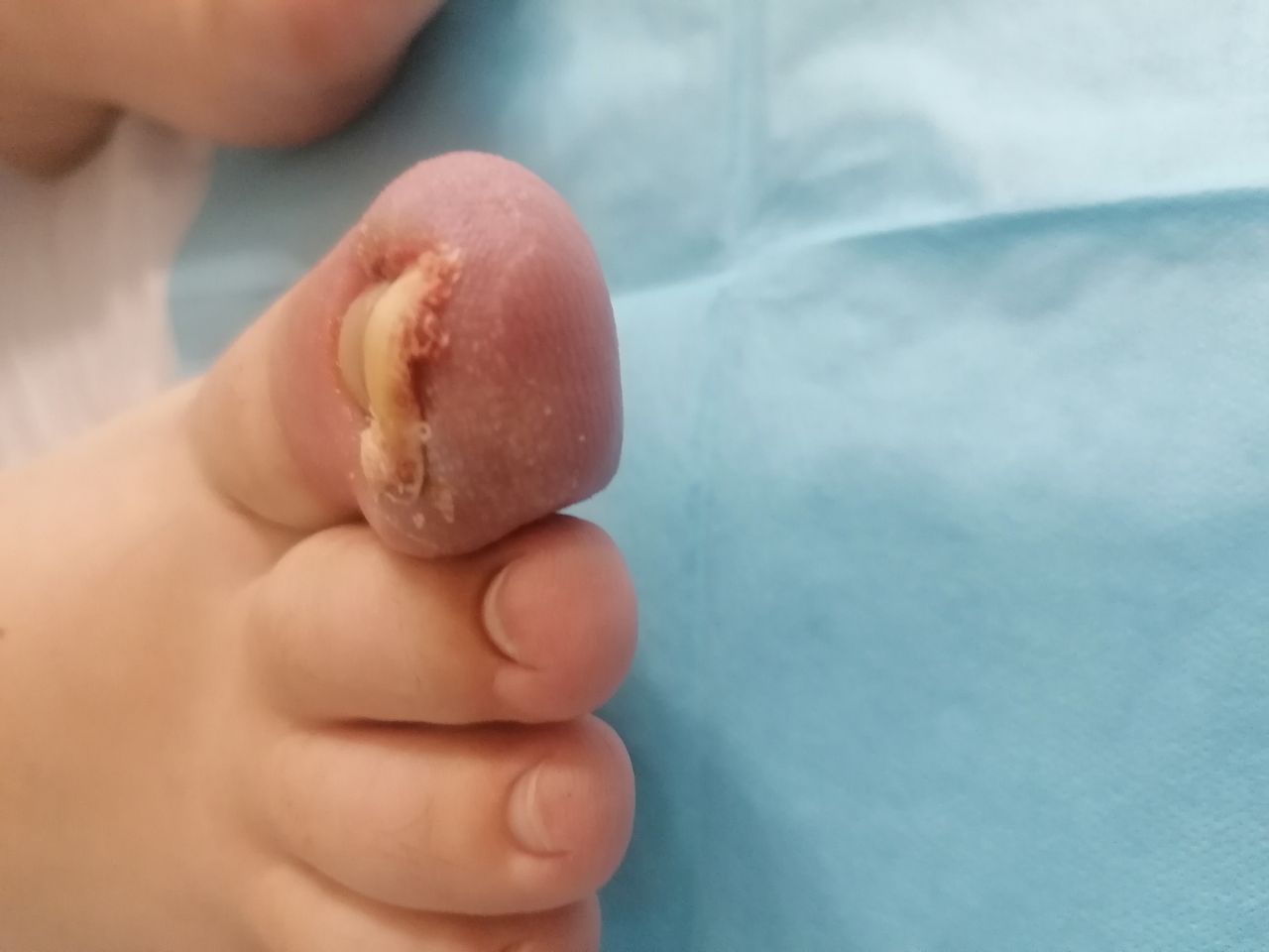 Kassandra Nicolosi-333