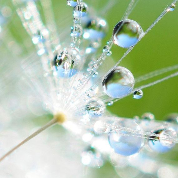 Cordula Roggon, M.sc.-4