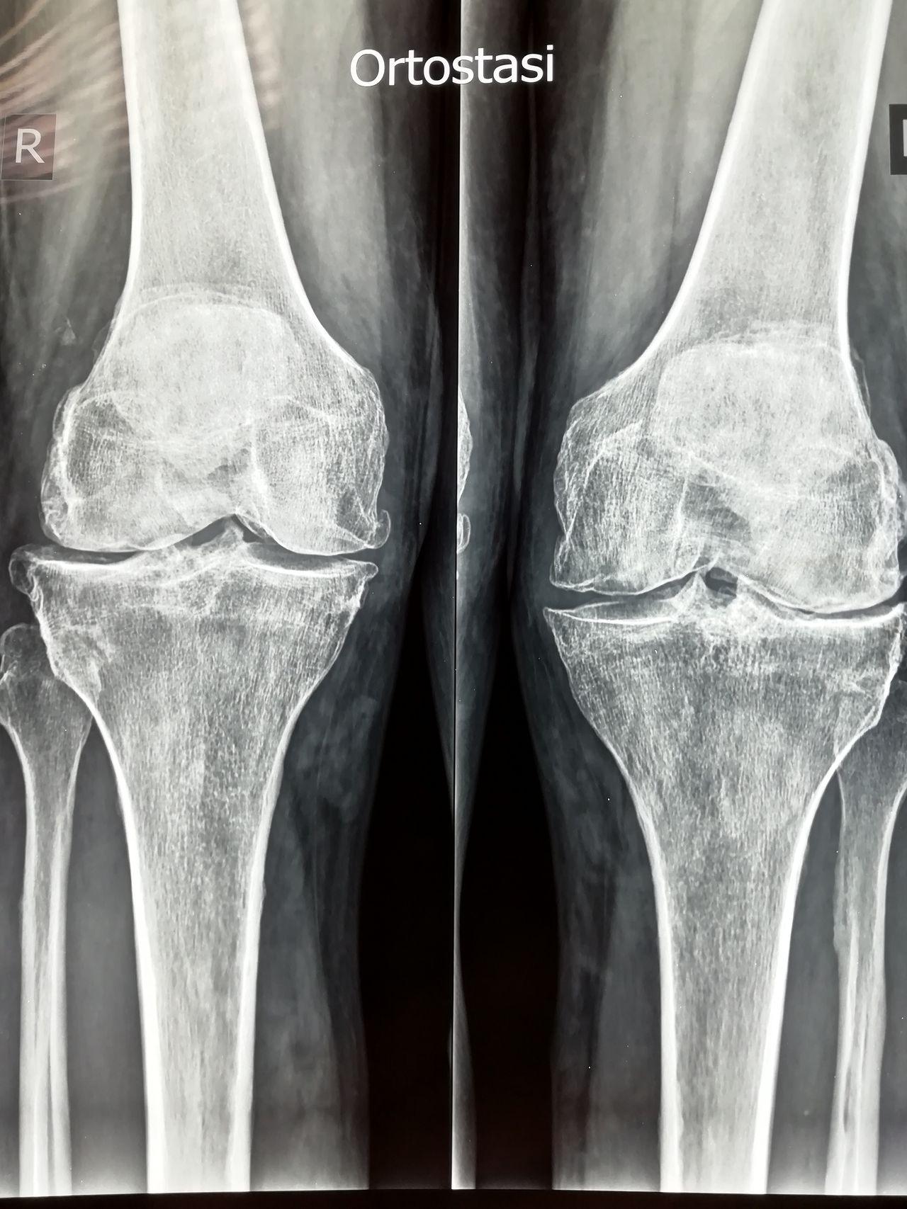 Giovanni Di Punzio-8