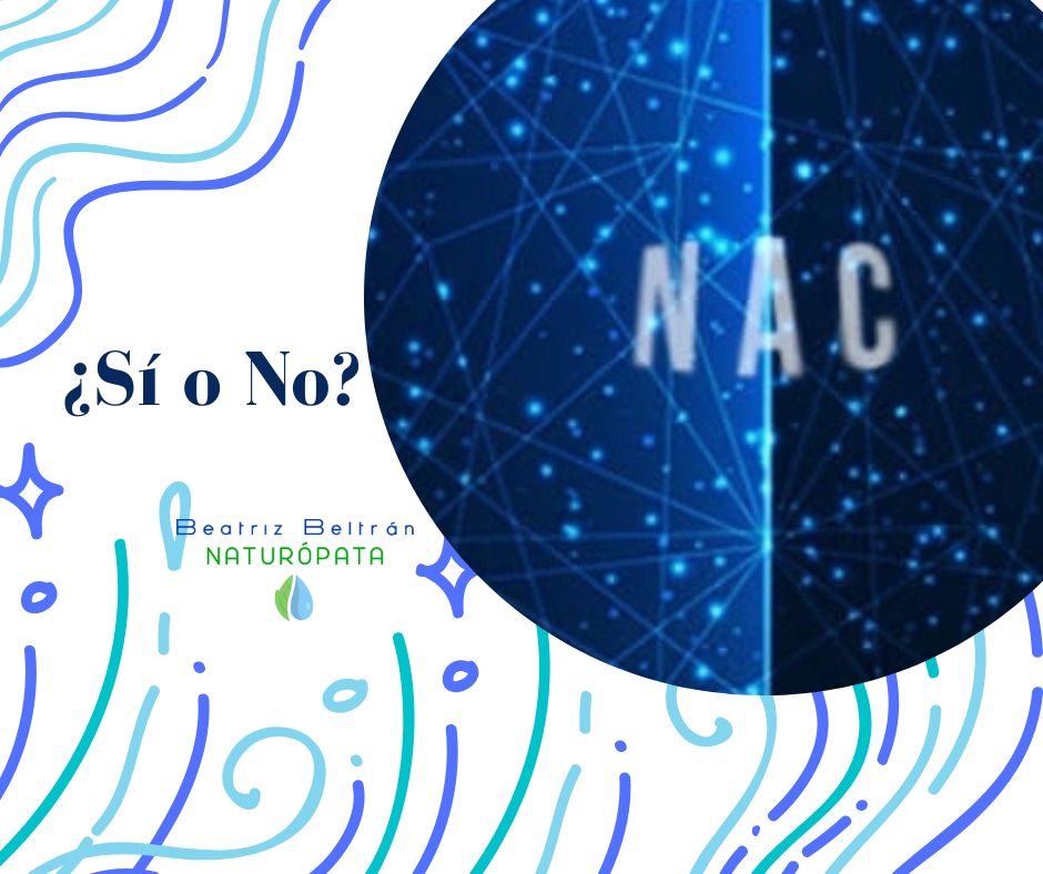 Beatriz Beltran Jordá-15