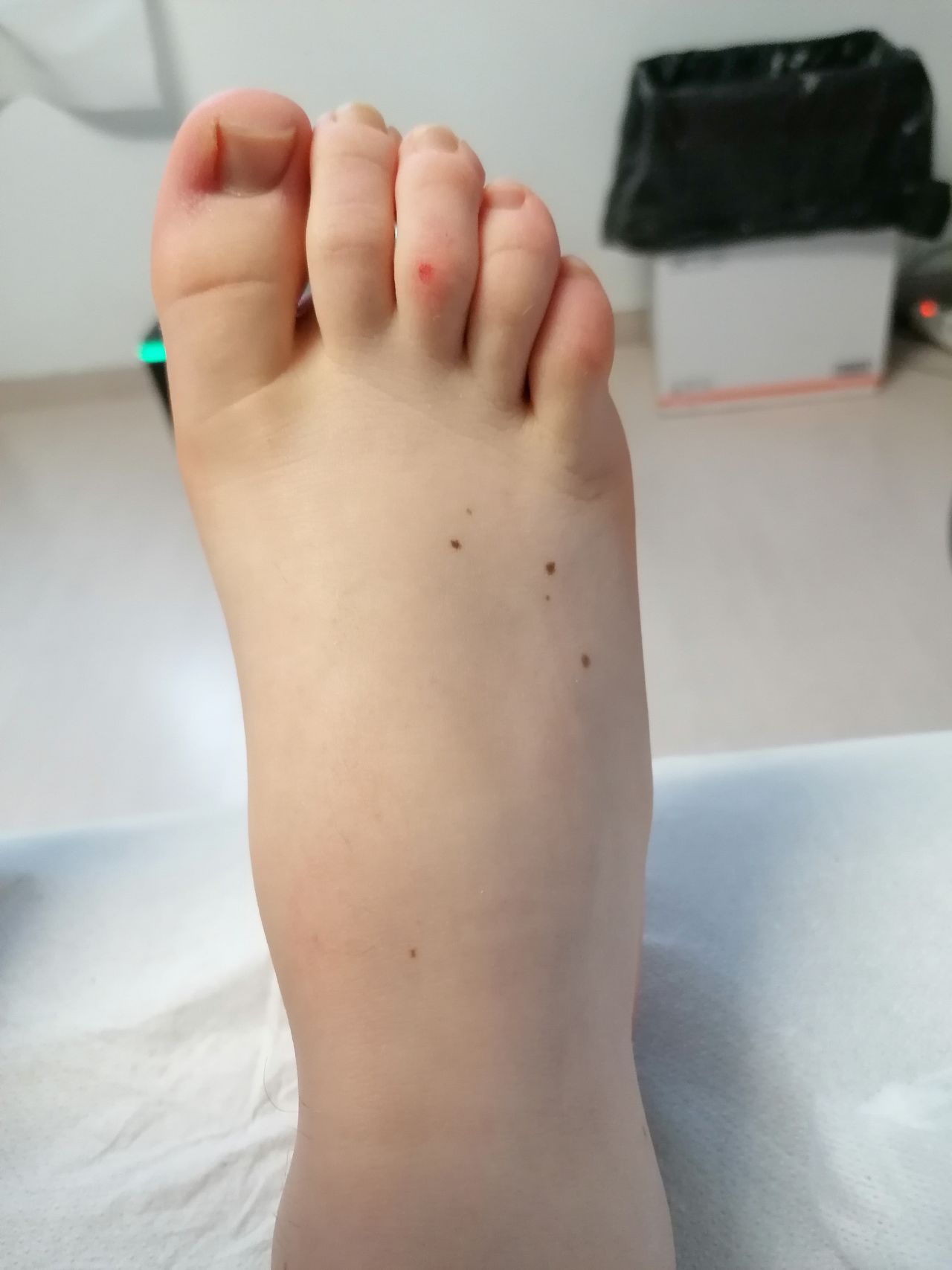 Kassandra Nicolosi-346