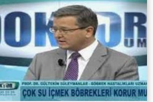 Gültekin Süleymanlar-5