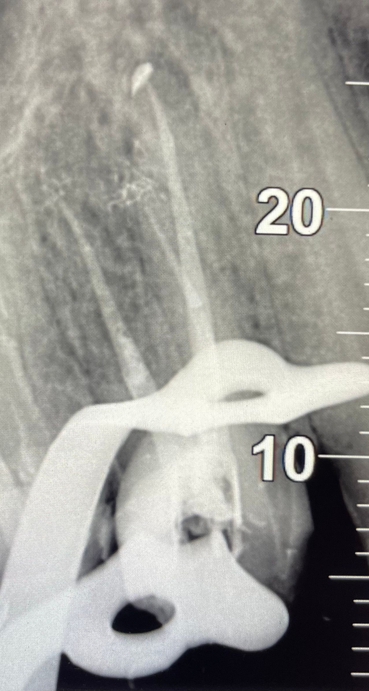 Magdalena Błachowska-4