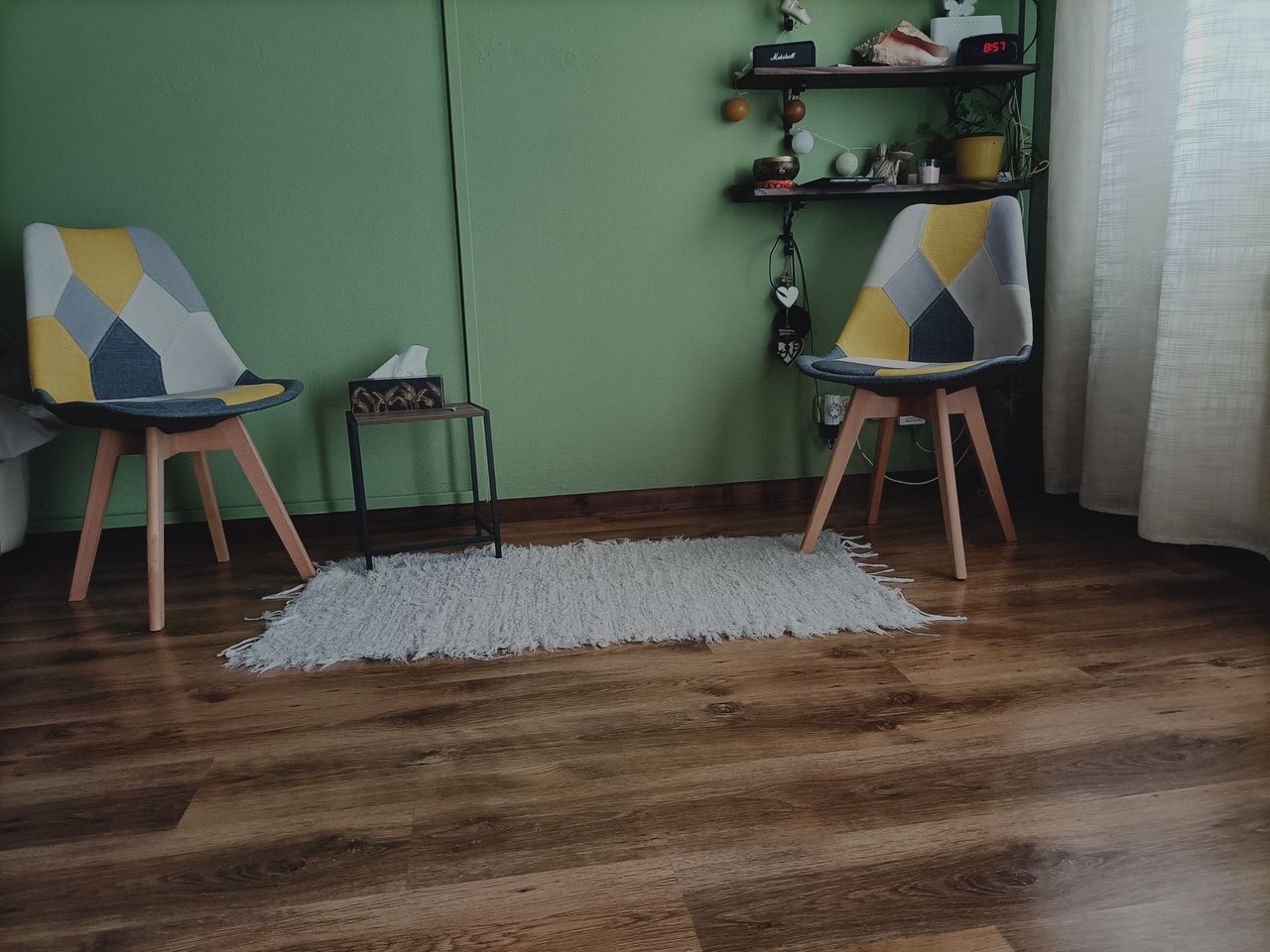 Emiliana Simionescu-3