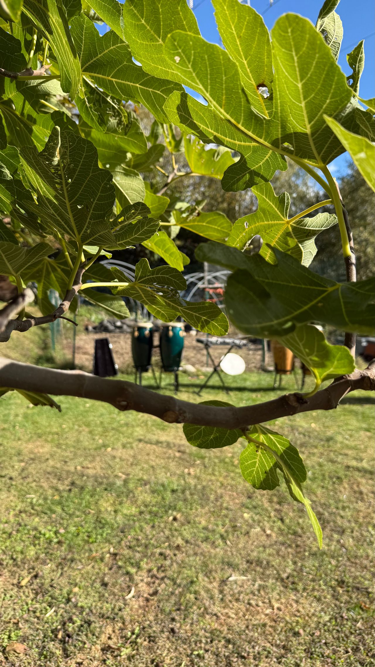 Maurizio Di Benedetto-23