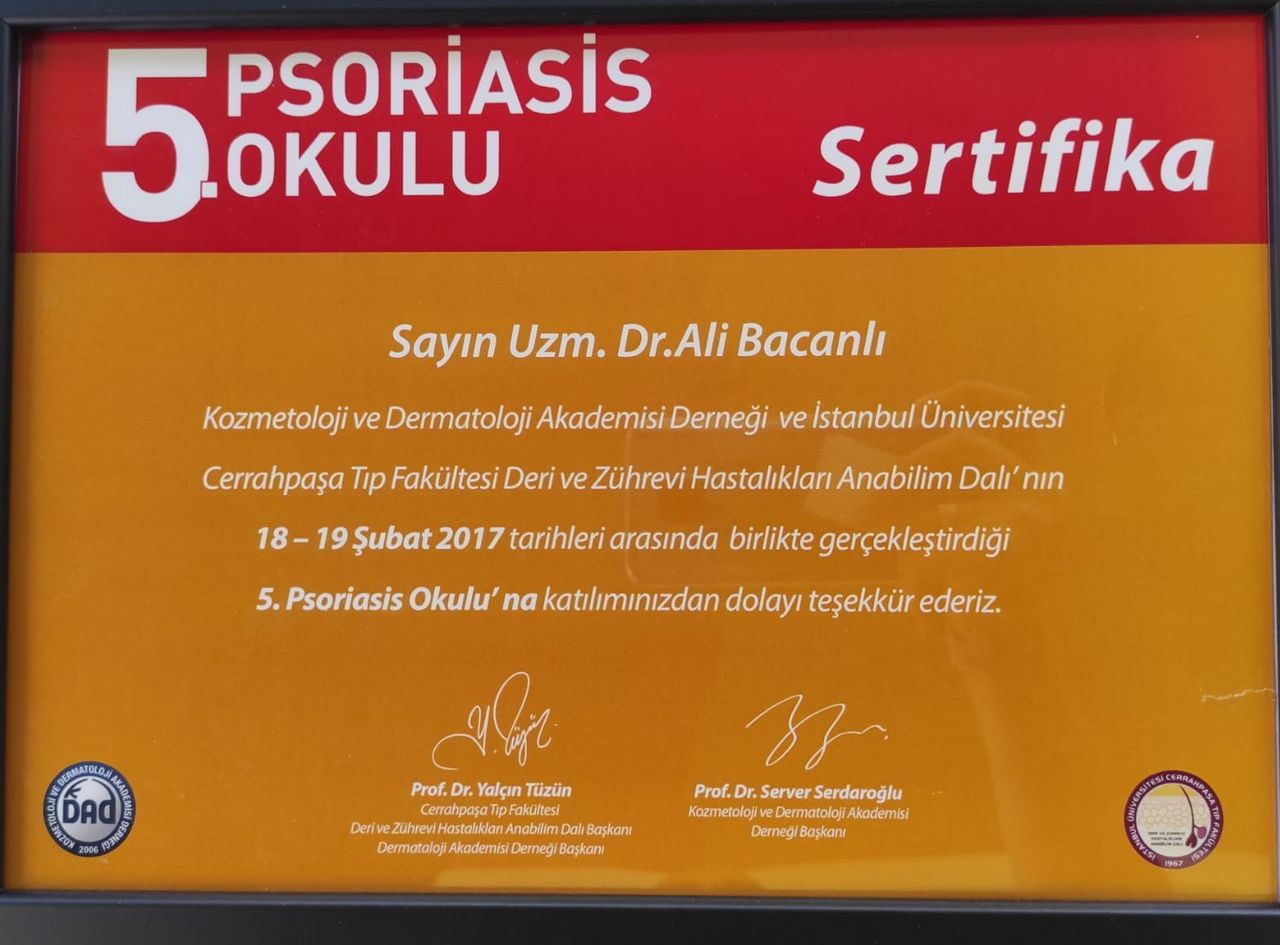 Ali Bacanlı-6