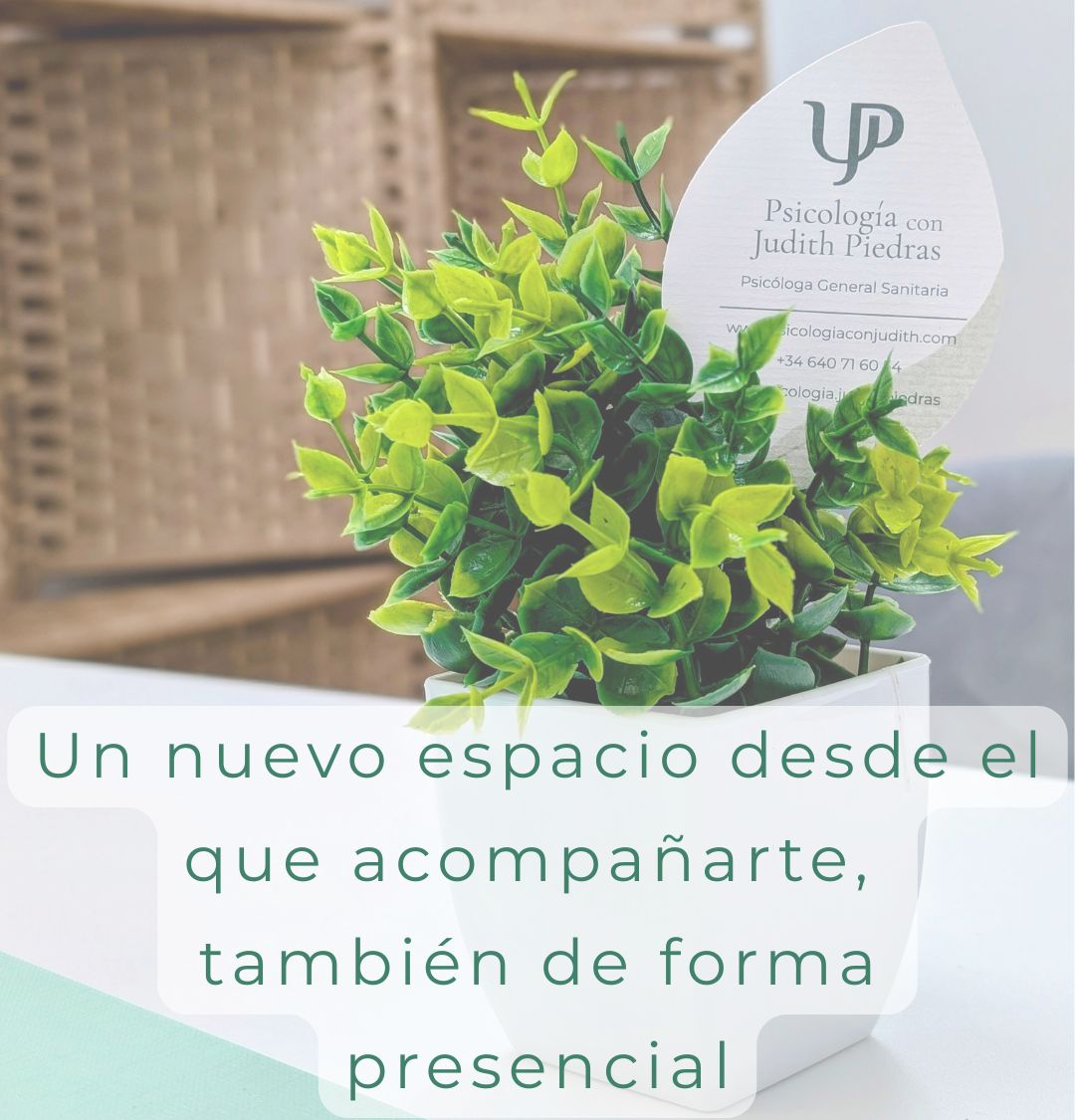 Judith Piedras Campelo-0