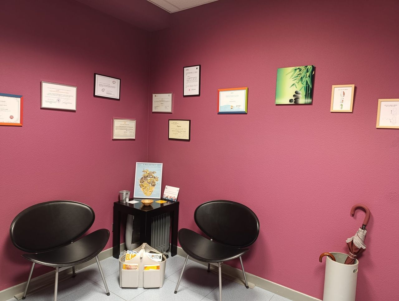 Francisco Javier De Las Rozas García-2