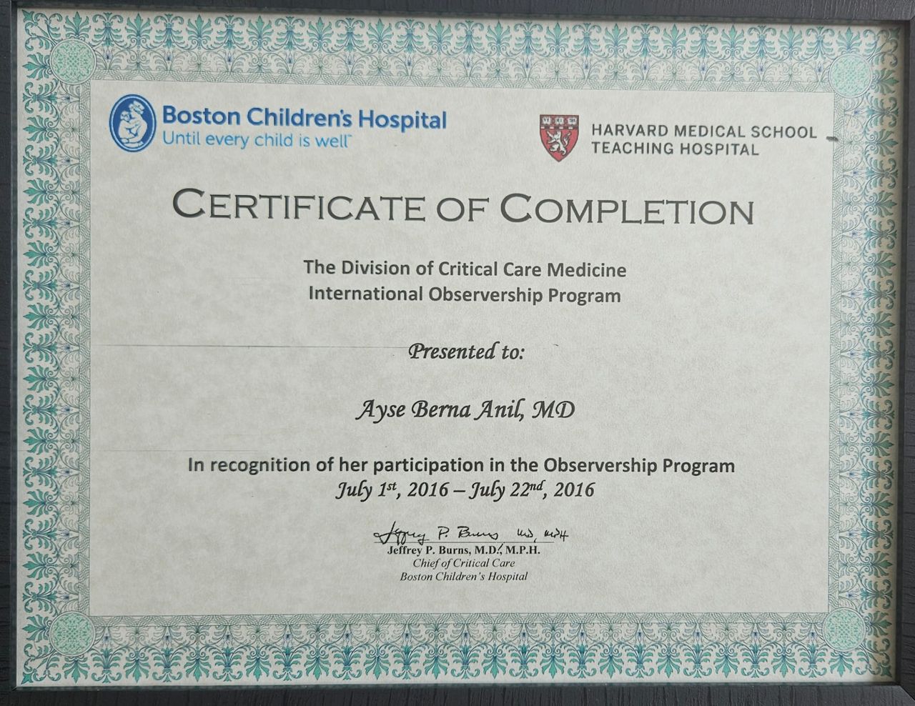 Ayşe Berna Anıl-44