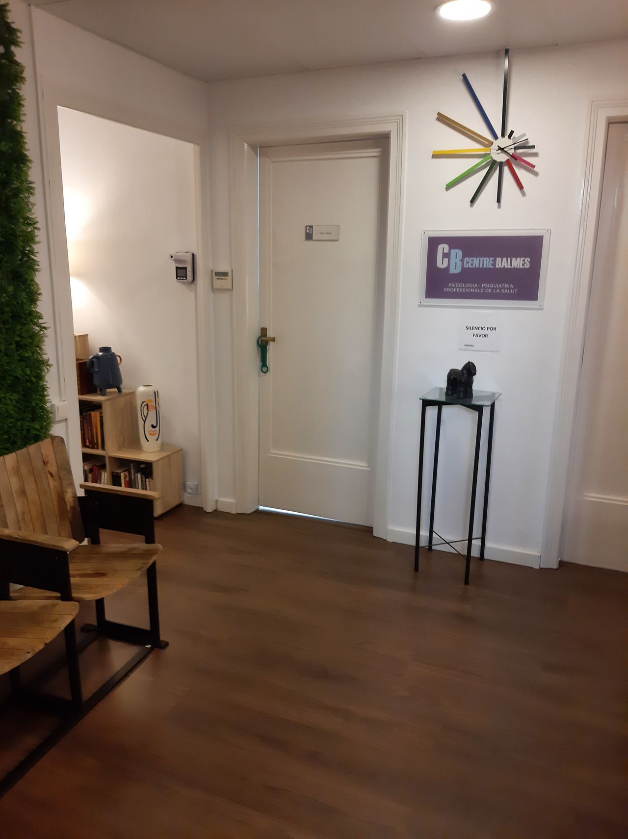 Lidia Viana Catalán-3