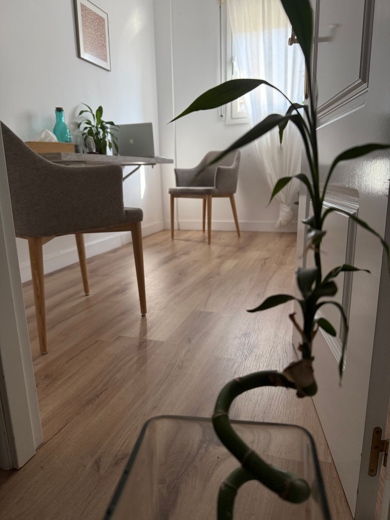 Mario Pla Saavedra-0