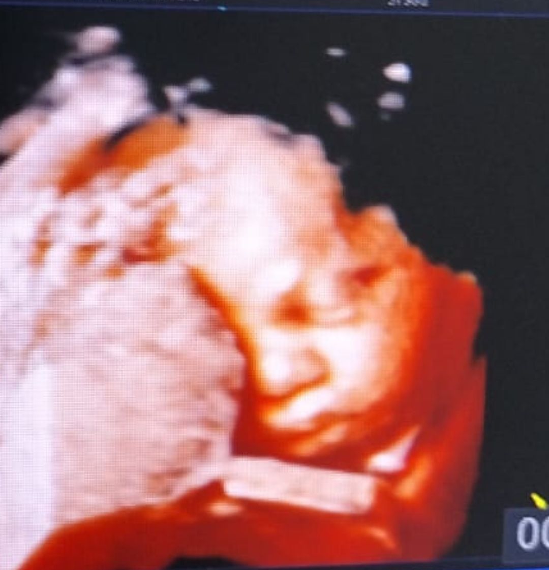 Andreina Vitellino-6