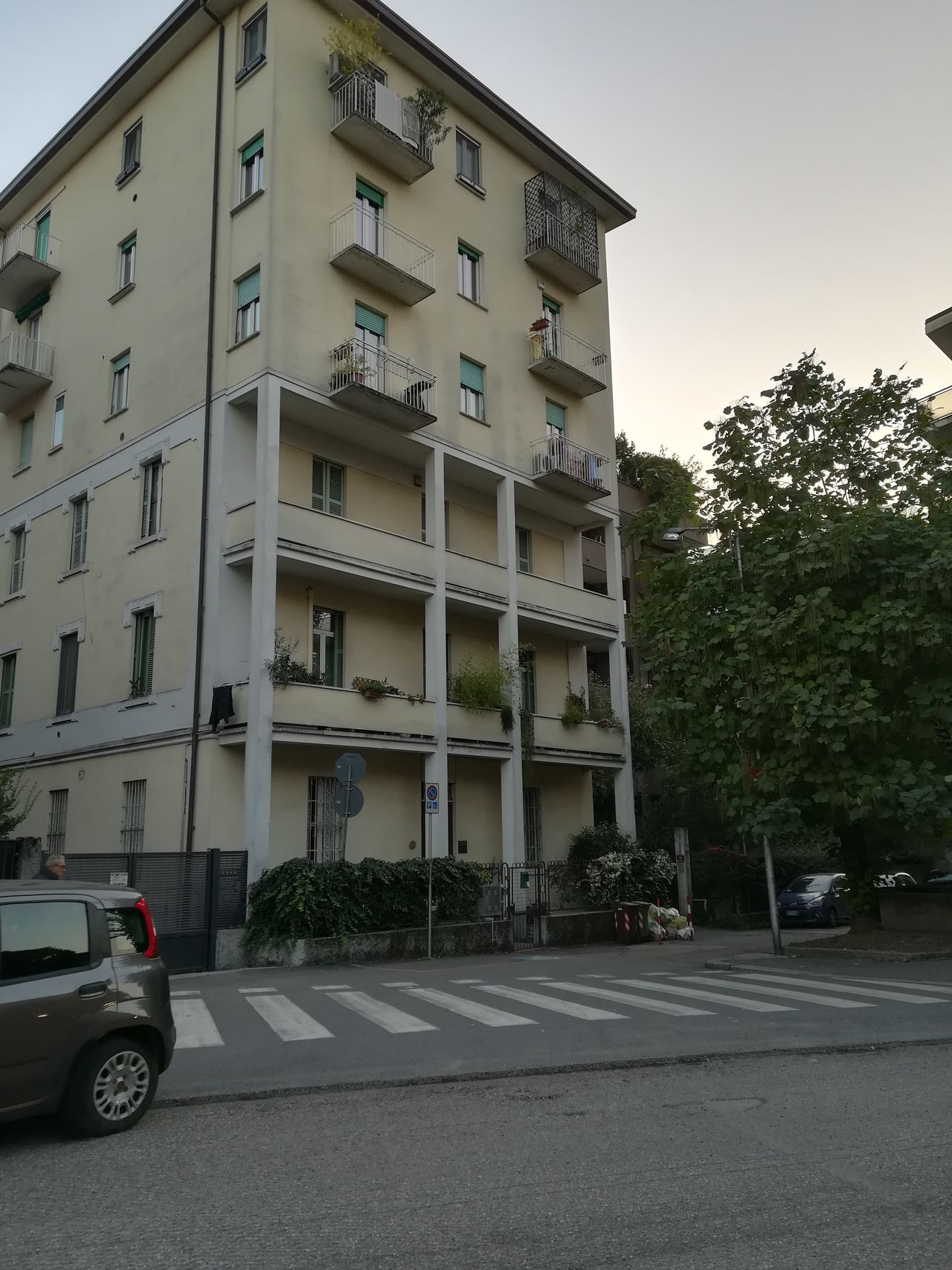 Maria Cristina Taddei-1