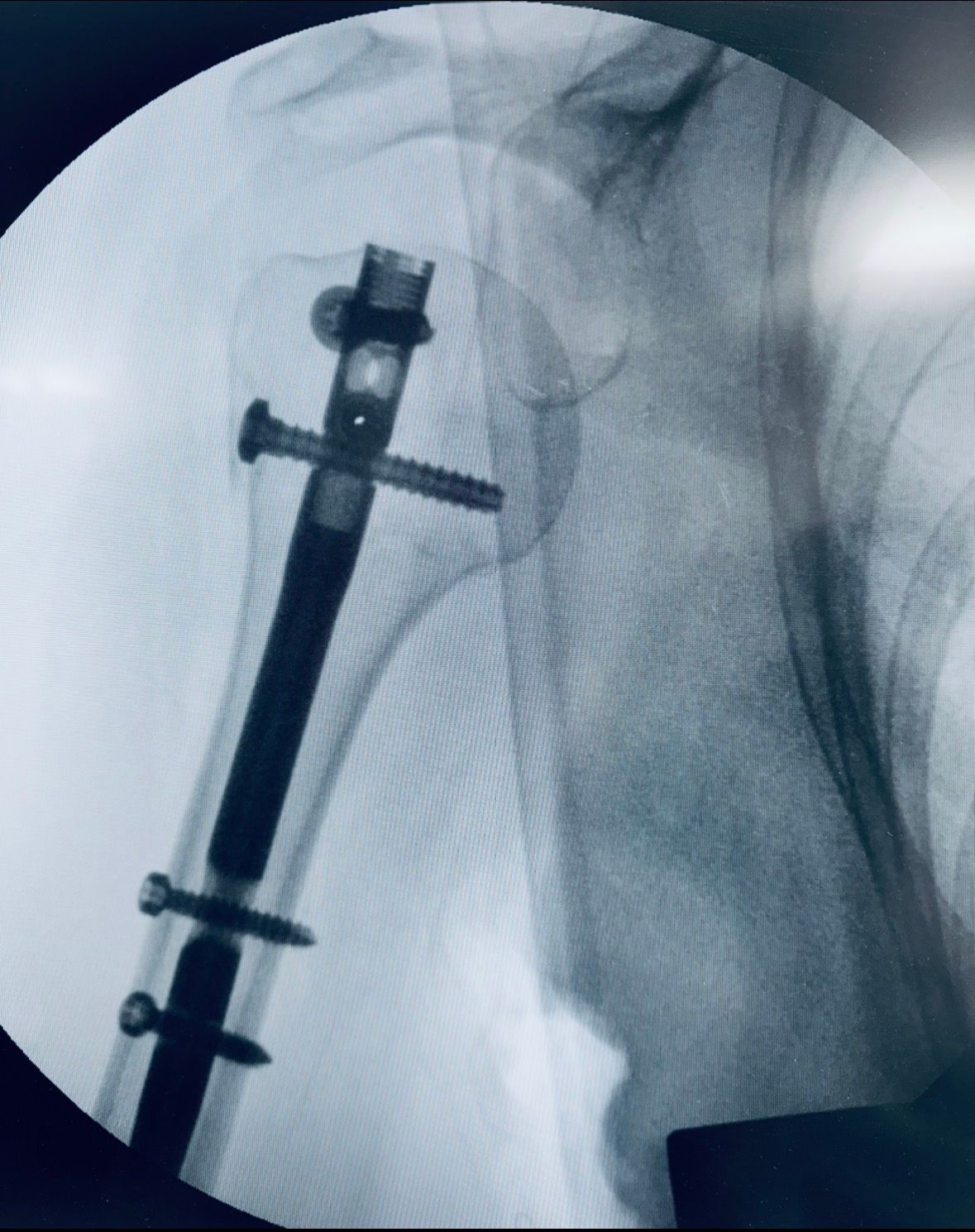 Daniele Passaretti-9