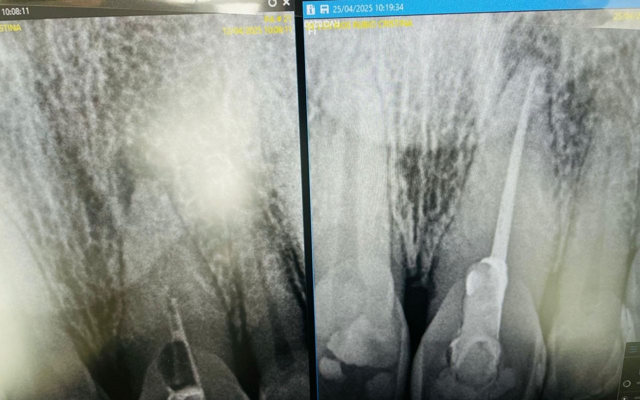 Diana Paola Pedraza Chaparro-2