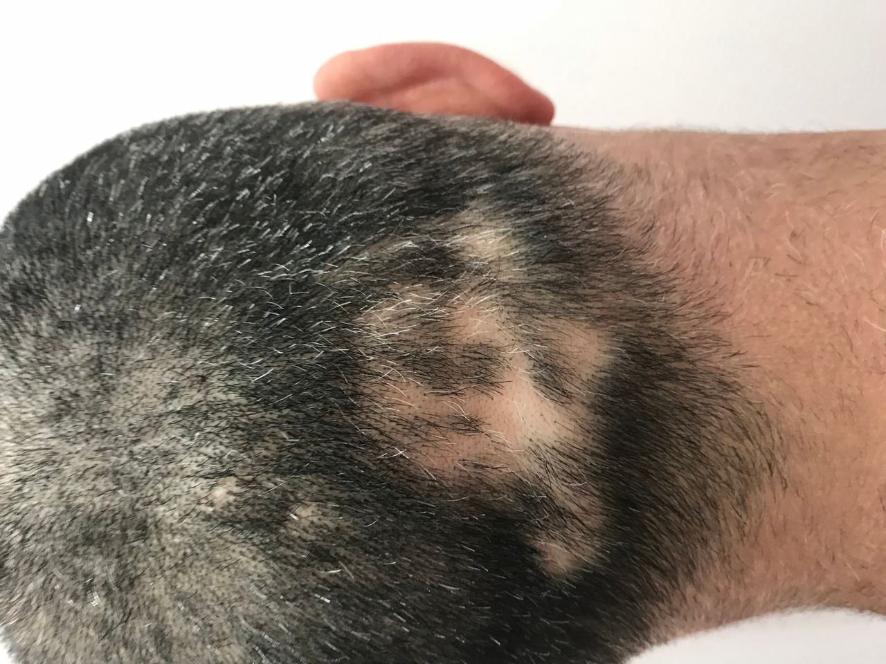 Elżbieta Wiszniewska-Gauer-12