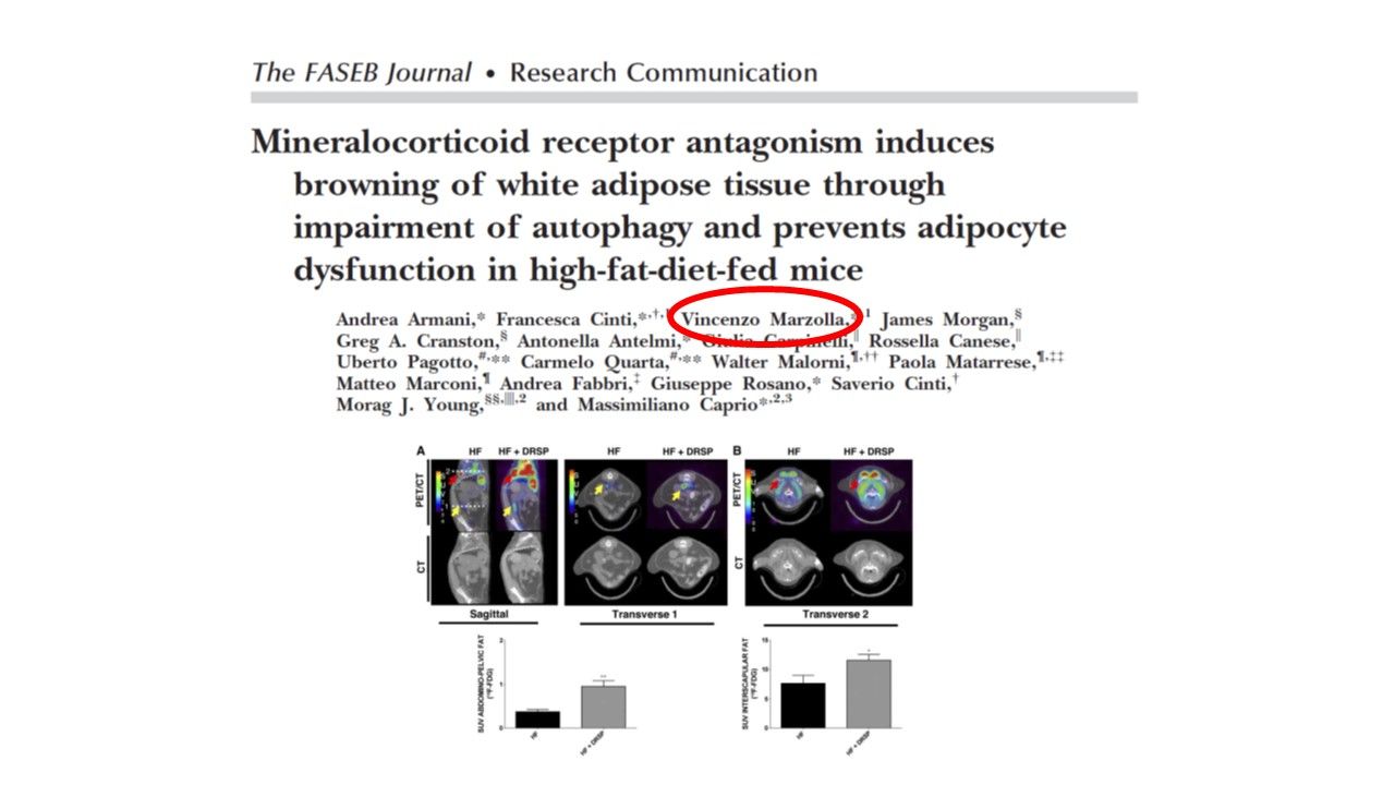 Vincenzo Marzolla-21