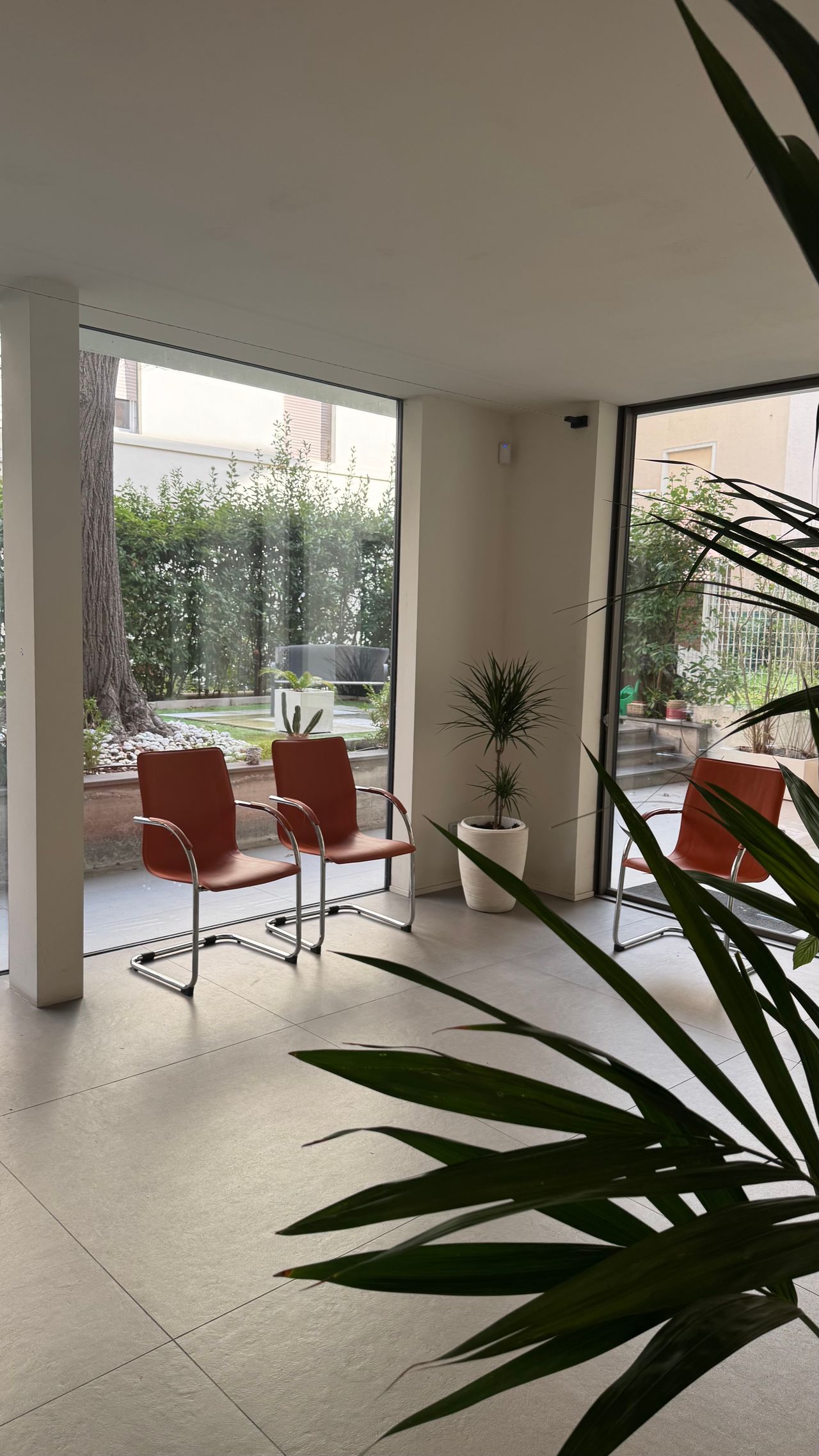 Michele Pelliccioni-1