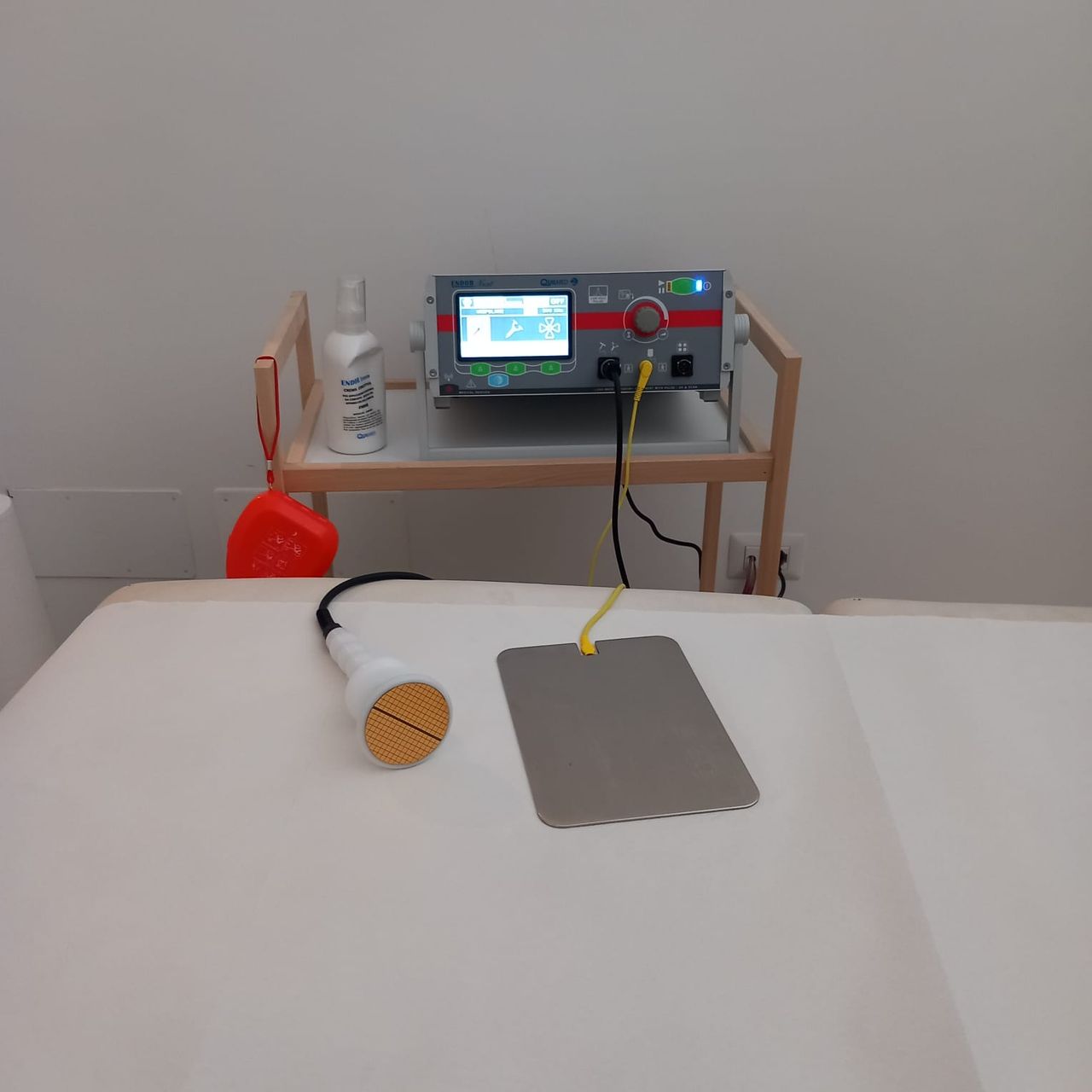 Monica De Giovanni-5