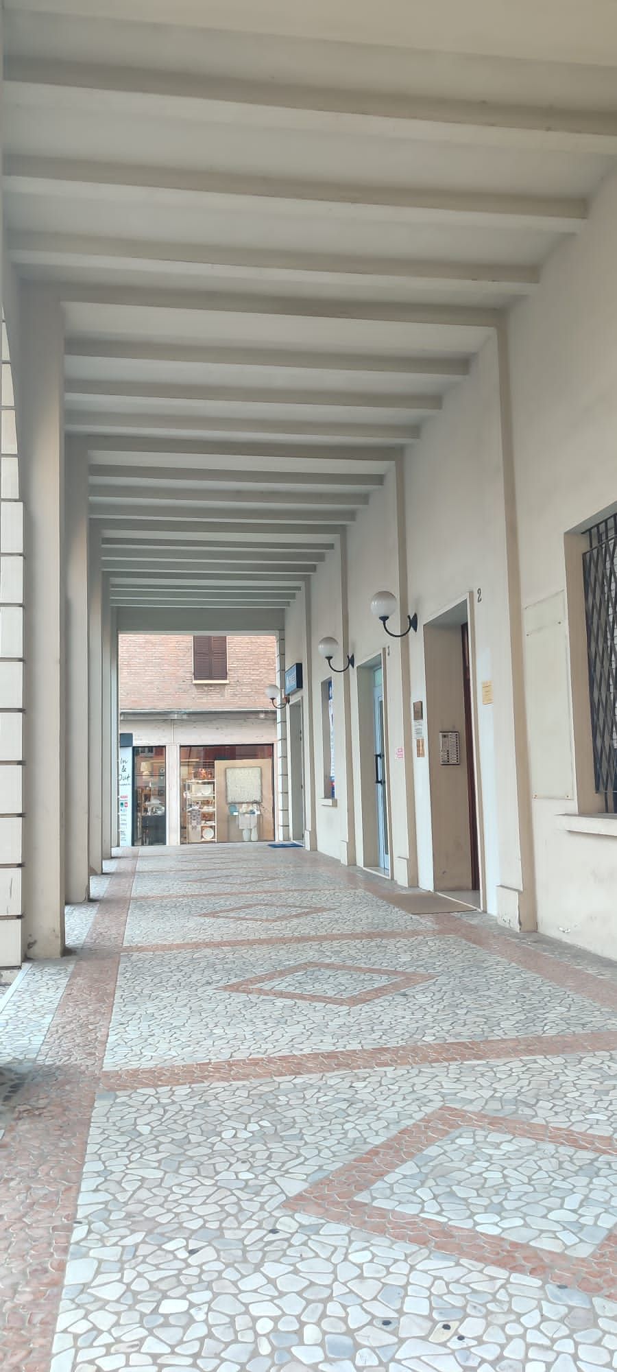 Michelangela D'antonio-3