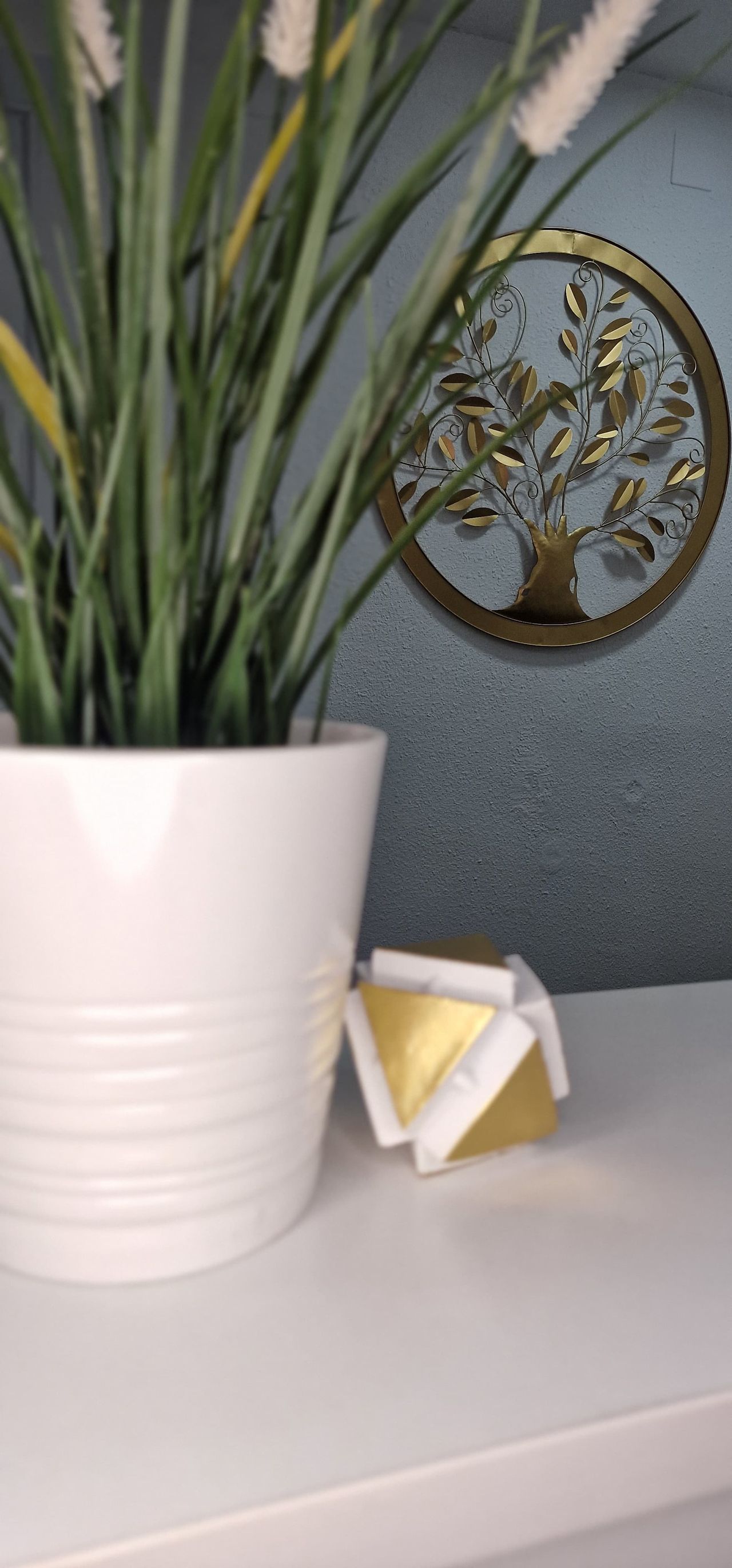 Yolanda Vera Mendez-5