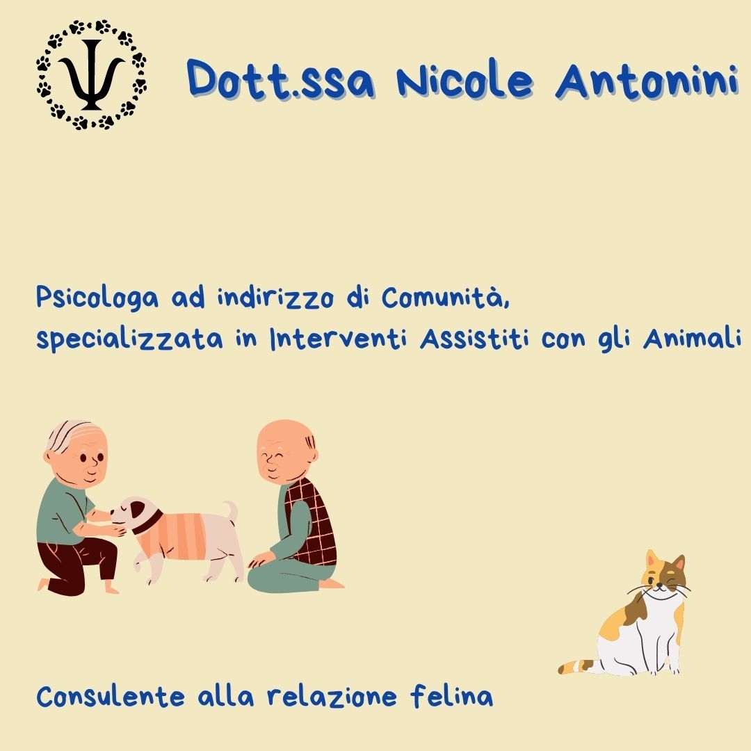 Nicole Antonini-5