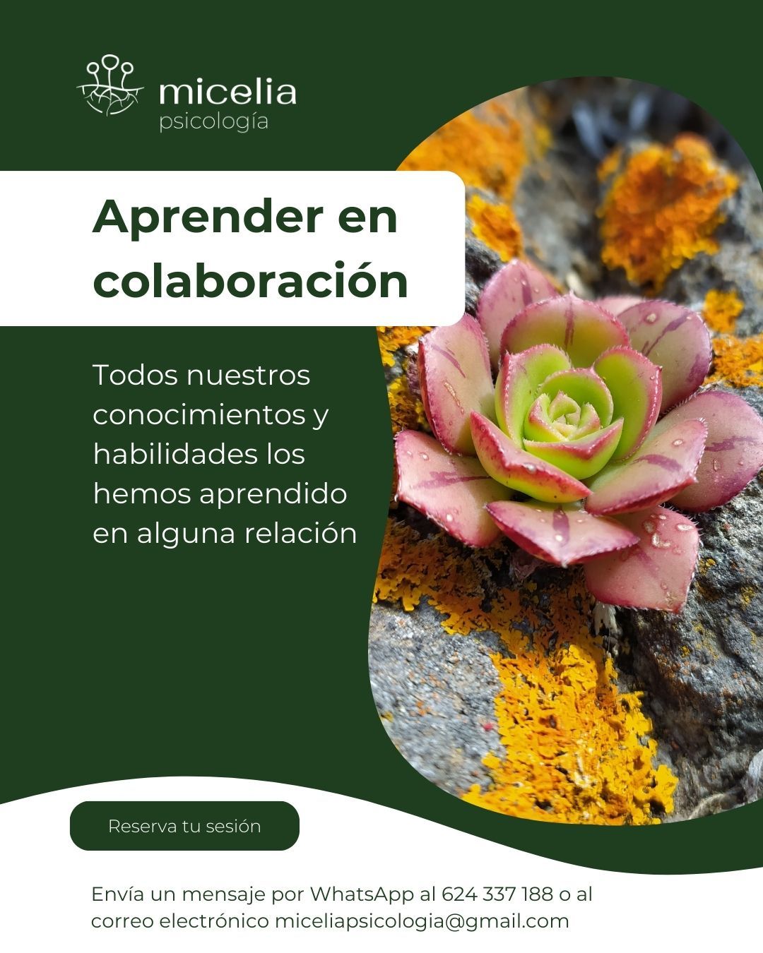 Carolina Martín Vázquez-18