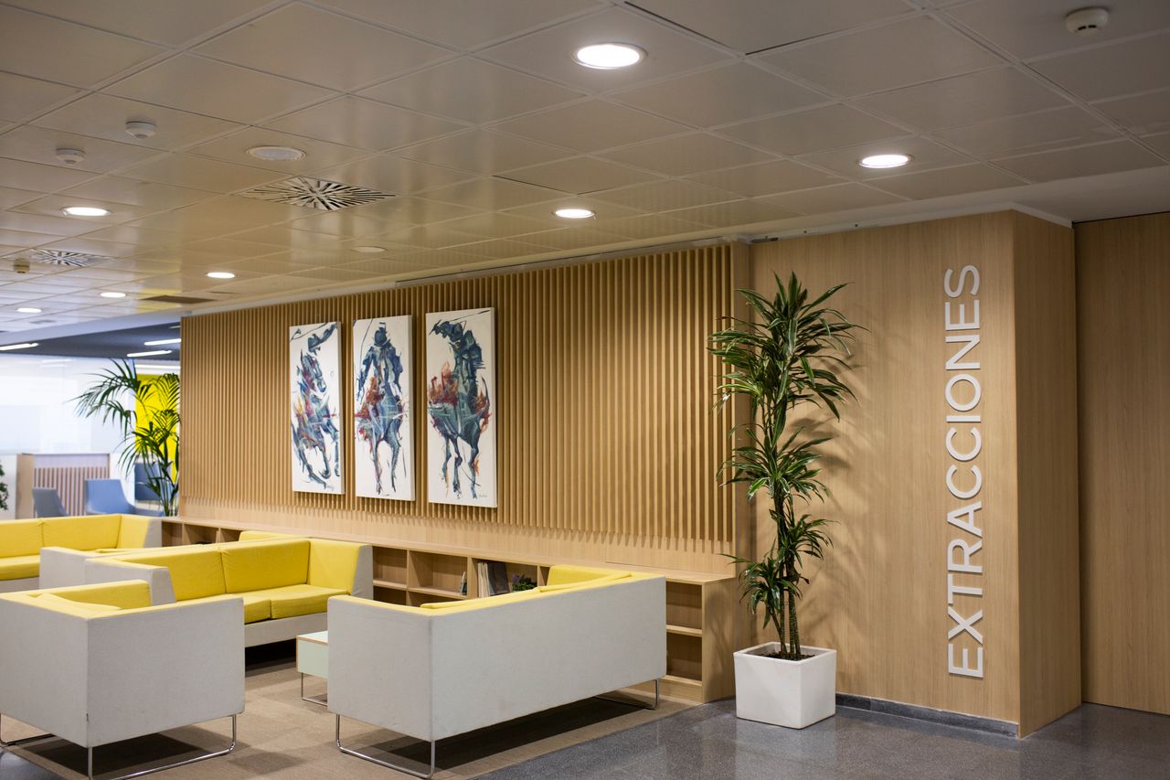 Rafael García De La Borbolla Fernández-3