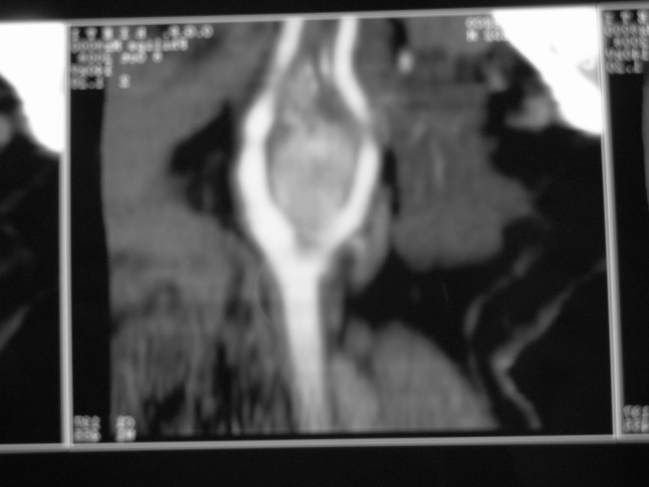 Francesco De Santis-17