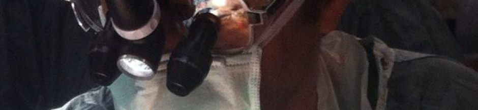 Alessandro Anselmo-0