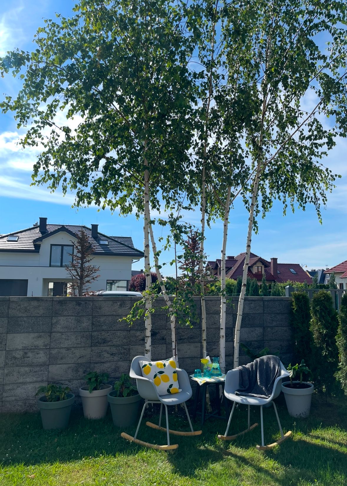 Daniela Wołosińska-3