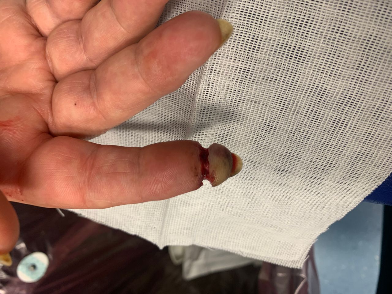 Giampaolo Monacelli-12