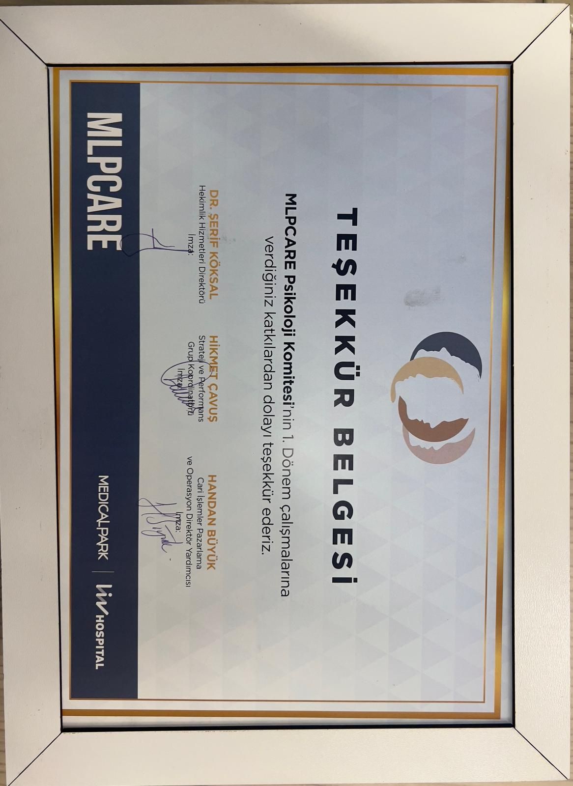 Nisa Nur Yıldıran-12