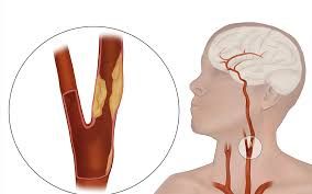 Mario De Laurentis-26