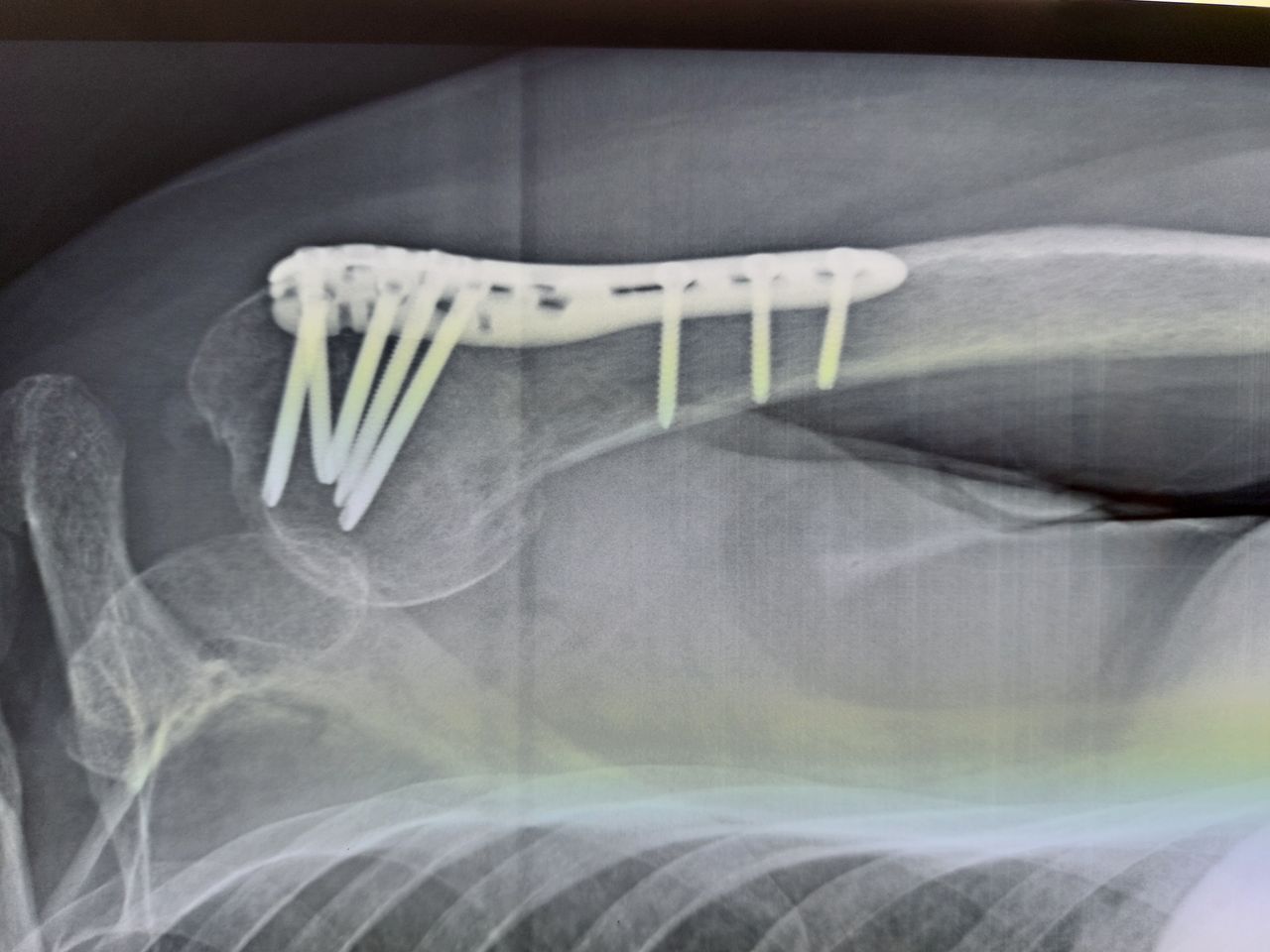 Giovanni Di Punzio-1