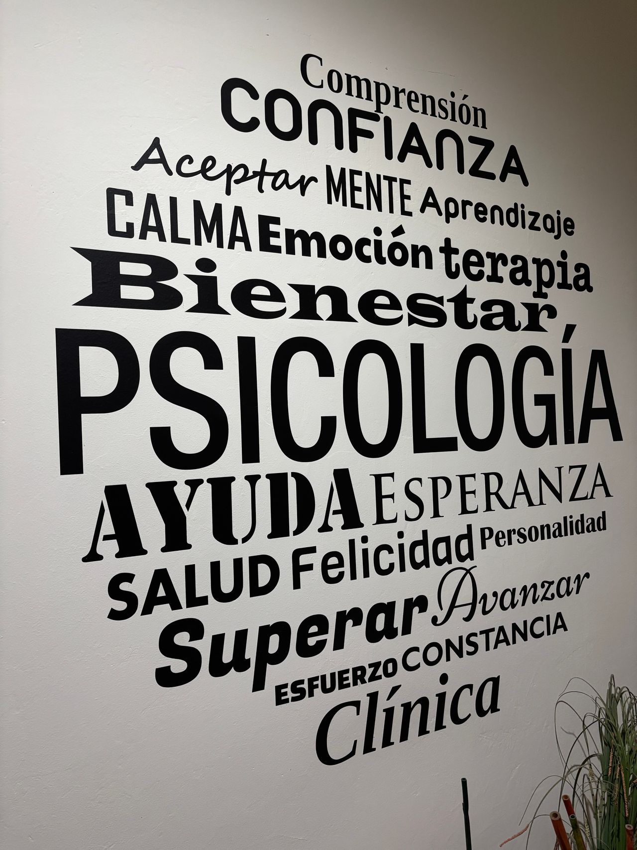 Francisco Manzaneda Pérez-5