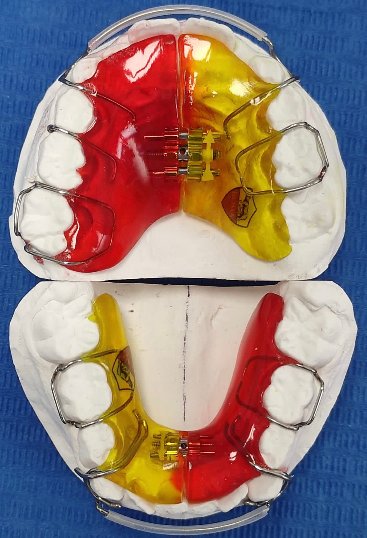 Francesca Muggiano-17